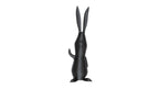 Pro PCTG-CF10, 10% Carbon Fiber PCTG, 1.75mm