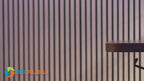 Pro PCTG-CF10, 10% Carbon Fiber PCTG, 1.75mm