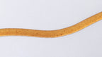 entwined_particle_original_1024x576